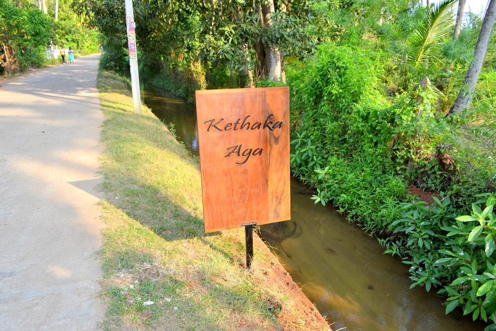 Kethaka Aga Otel Tissamaharama Dış mekan fotoğraf